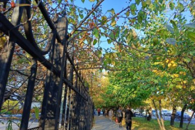 Тематическое фото Корр. ИА  AmurMedia